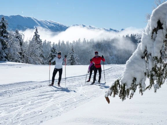 Nordic Pass Isère Drôme (Adulte (de 1951 à 2006))