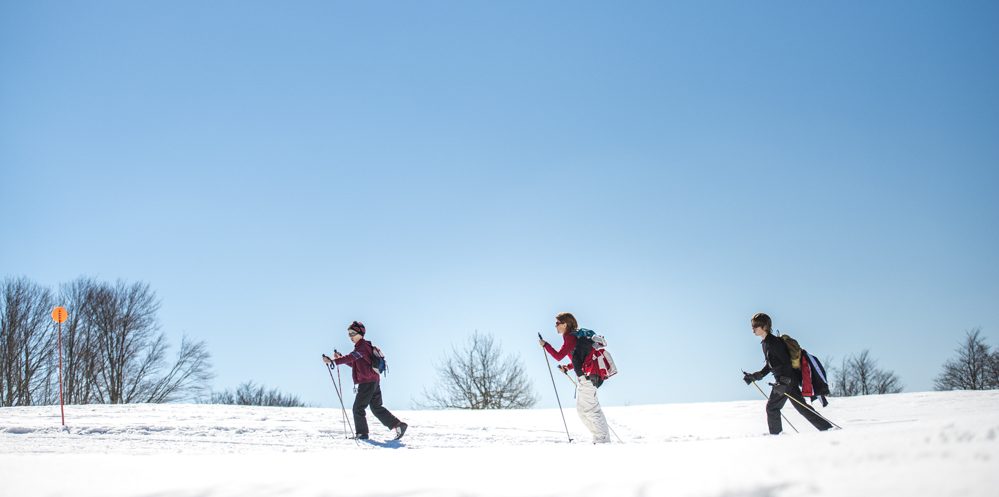 Assurance Alpin 1 jour.