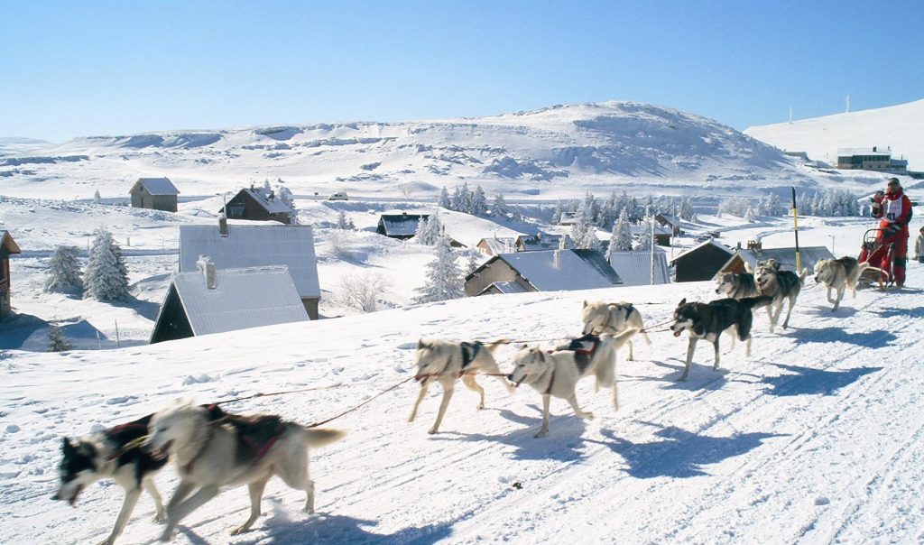 Conduite attelage journée VEL