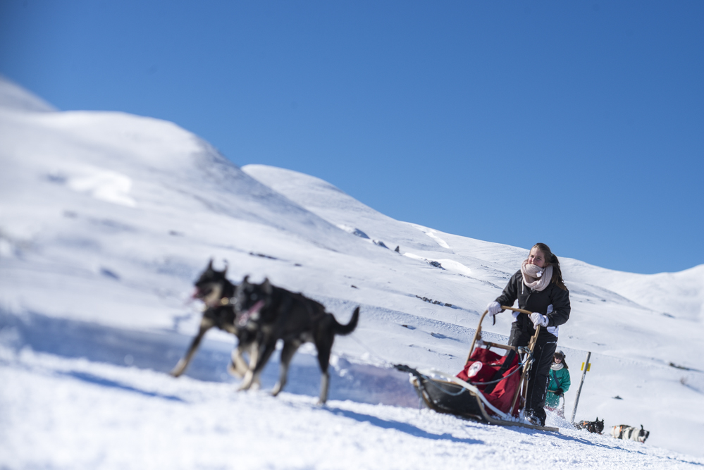 Conduite Attelage 1h VEL