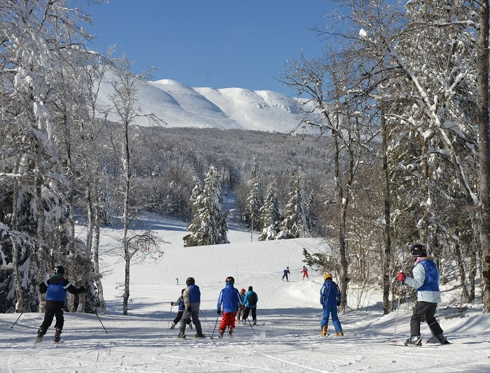 Domaine débutant VEL